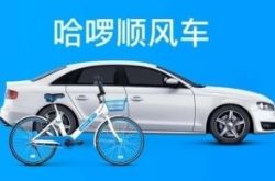 9分钟科普!沈阳咨询公司排名_哔哩哔哩-3